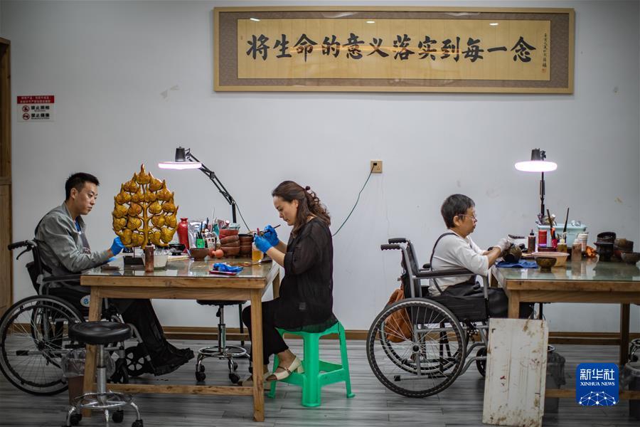 好赢国际558
